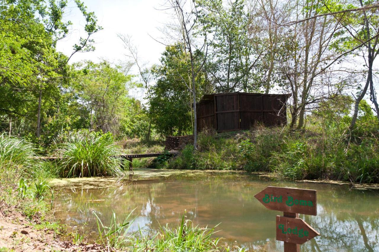 Greenfire Hazyview Lodge Dış mekan fotoğraf